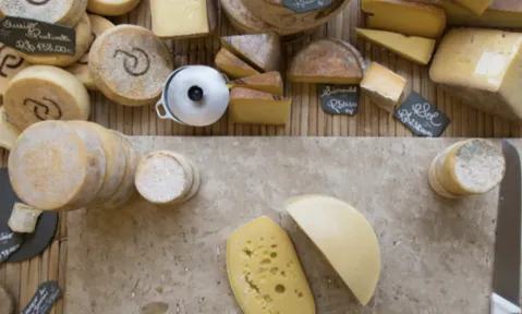 Vamos falar sobre queijo